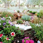 Chrisella Skala Rachoni (Thasos)