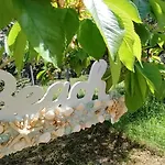 ヴィラ Chrisella Skala Rachoni (Thasos)