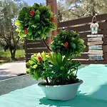 ヴィラ Chrisella *